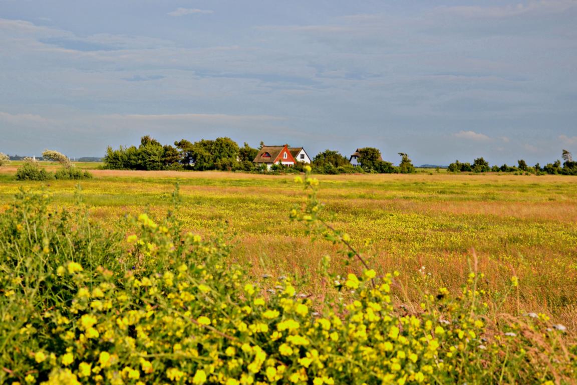 Hiddensee