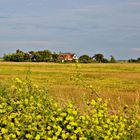 Hiddensee