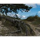 Hiddensee