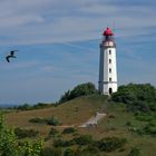 Hiddensee