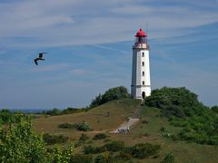 Hiddensee