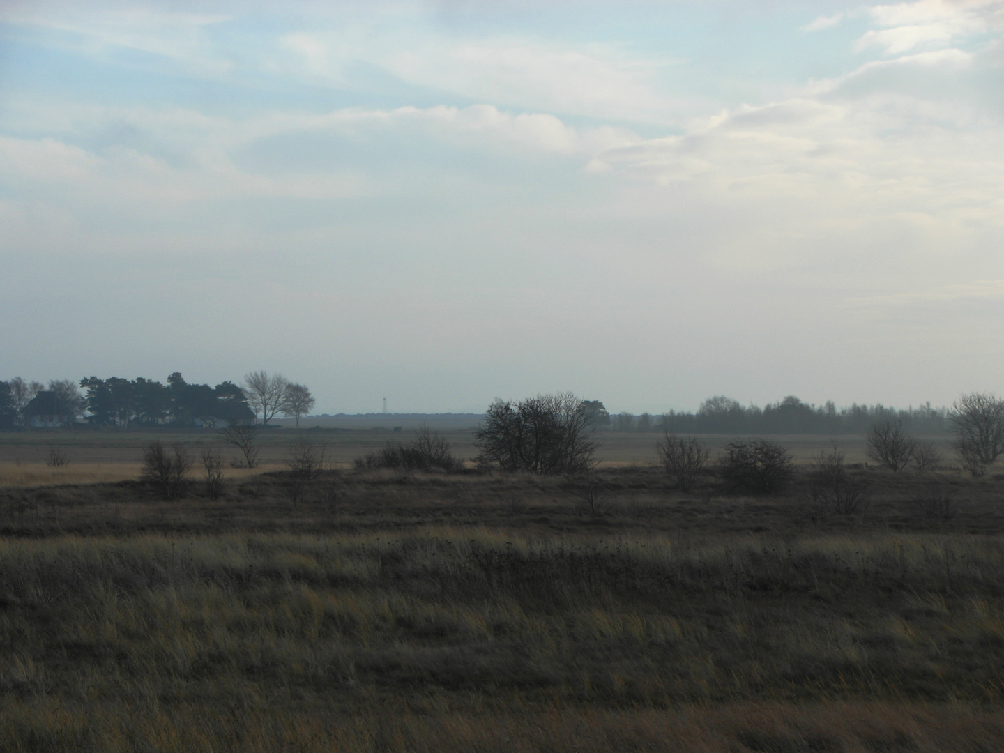 Hiddensee am 5.01.2014 gegen Mittag