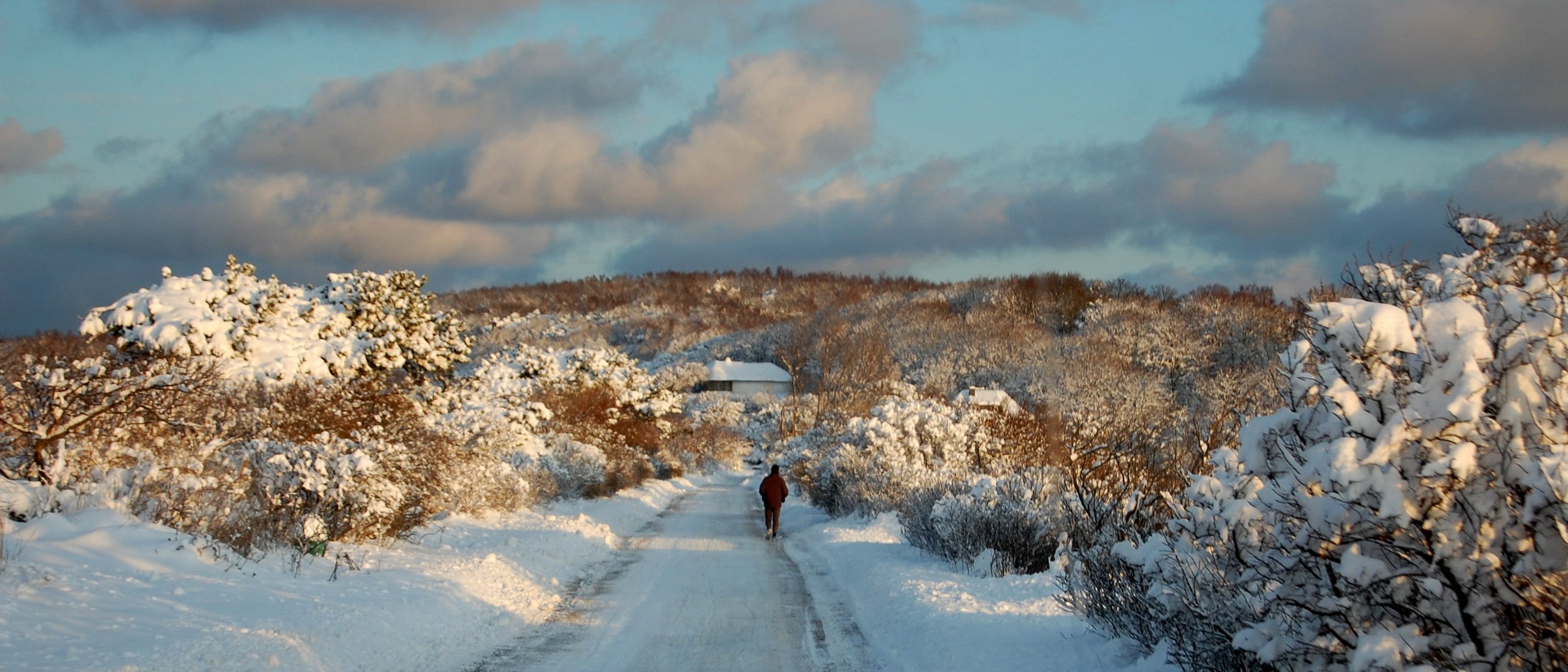 Hiddensee am Morgen (8 Januar)