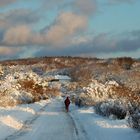 Hiddensee am Morgen (8 Januar)