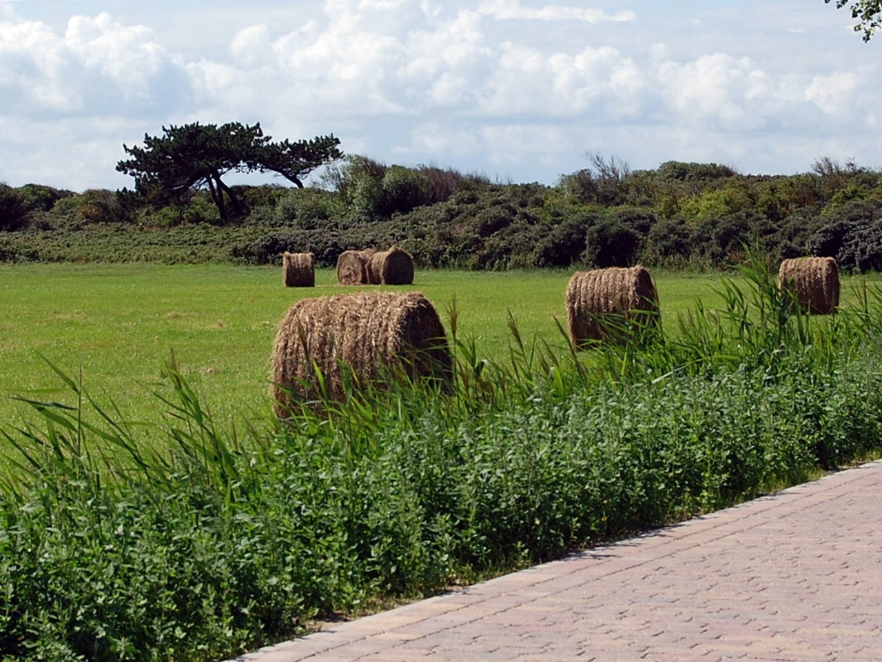 Hiddensee