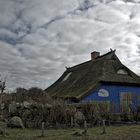 Hiddensee- Blaue Scheune