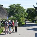 Hiddensee Blaue Scheune