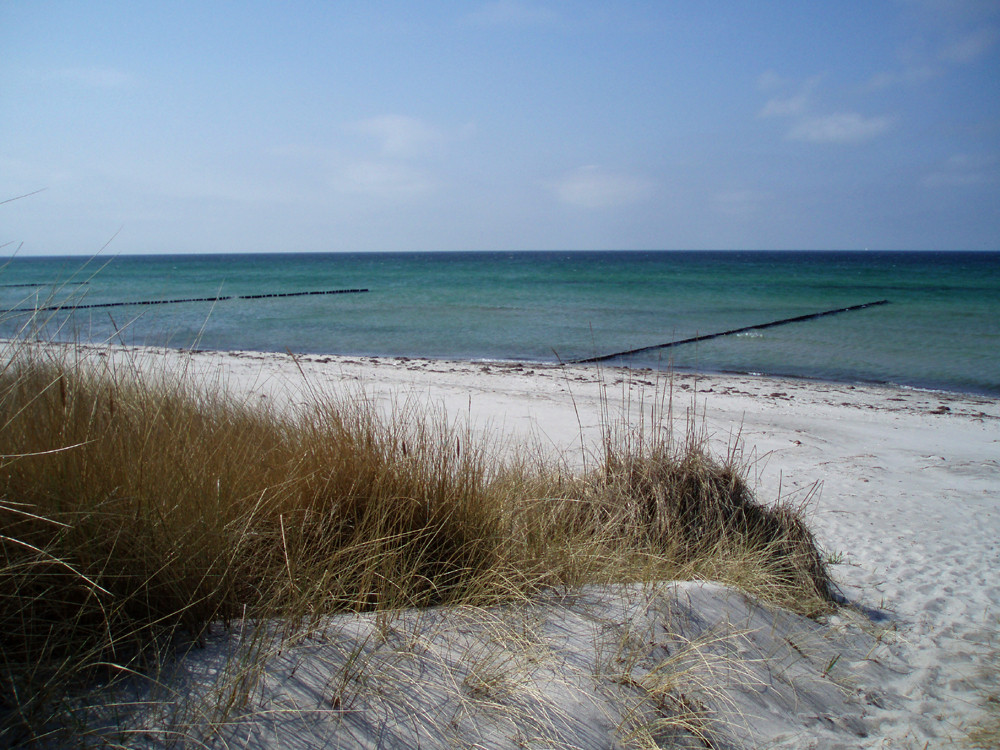 hiddensee