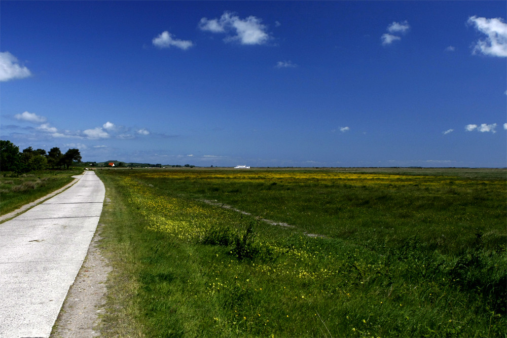 .: Hiddensee :.