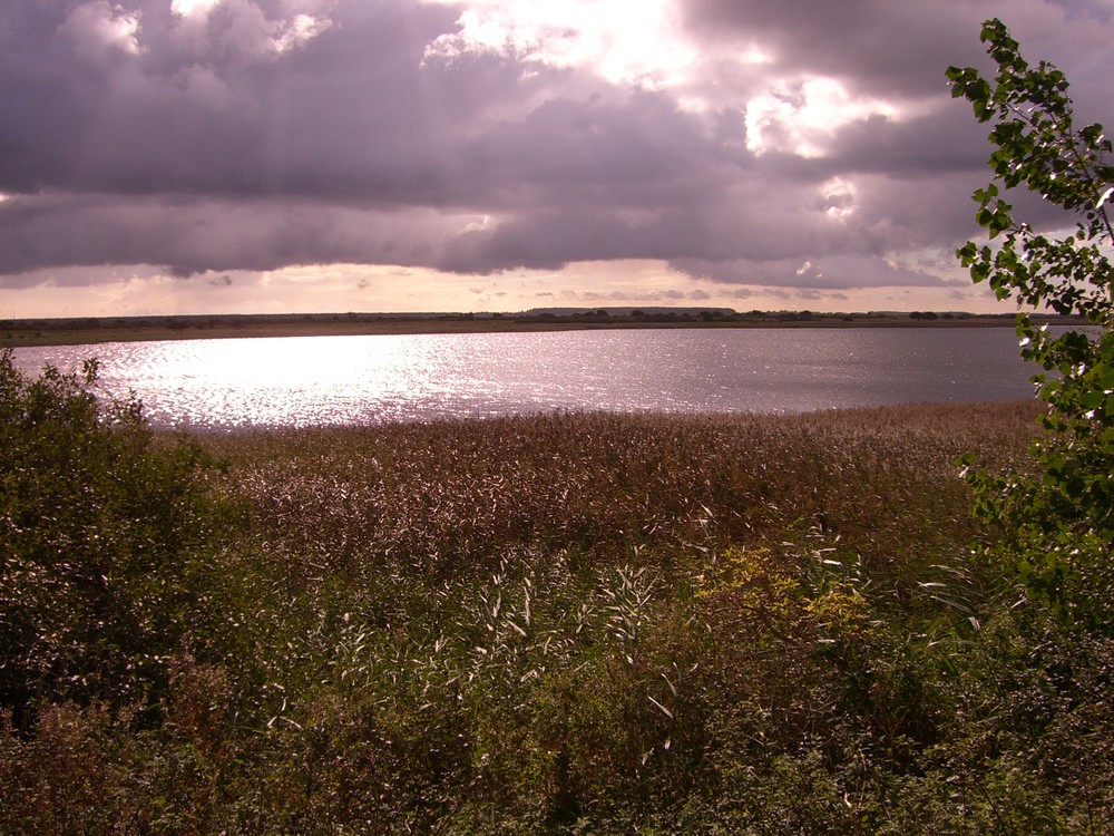 Hiddensee, Der Bessin