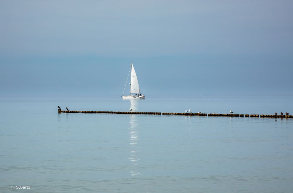 Hiddensee - Der Segler (06)  08/2023 