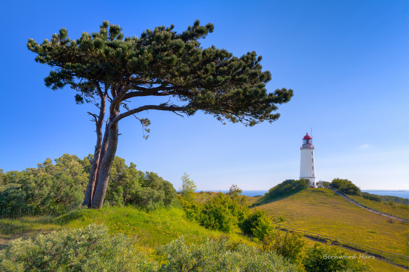 Hiddensee - Dornbusch