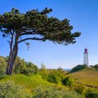 Hiddensee - Dornbusch