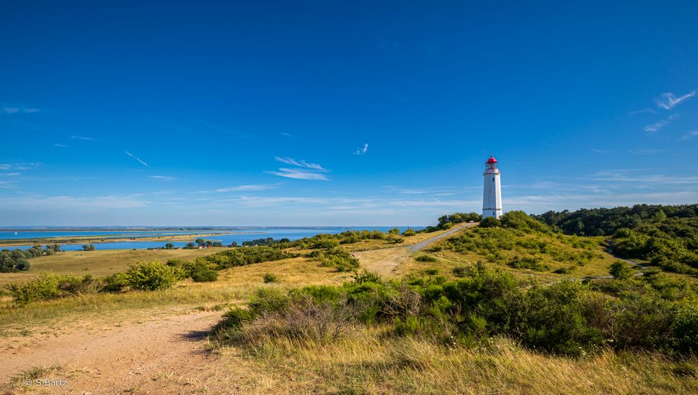 Hiddensee Dornbusch (1) 2022