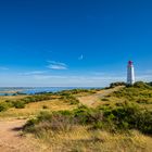 Hiddensee Dornbusch (1) 2022