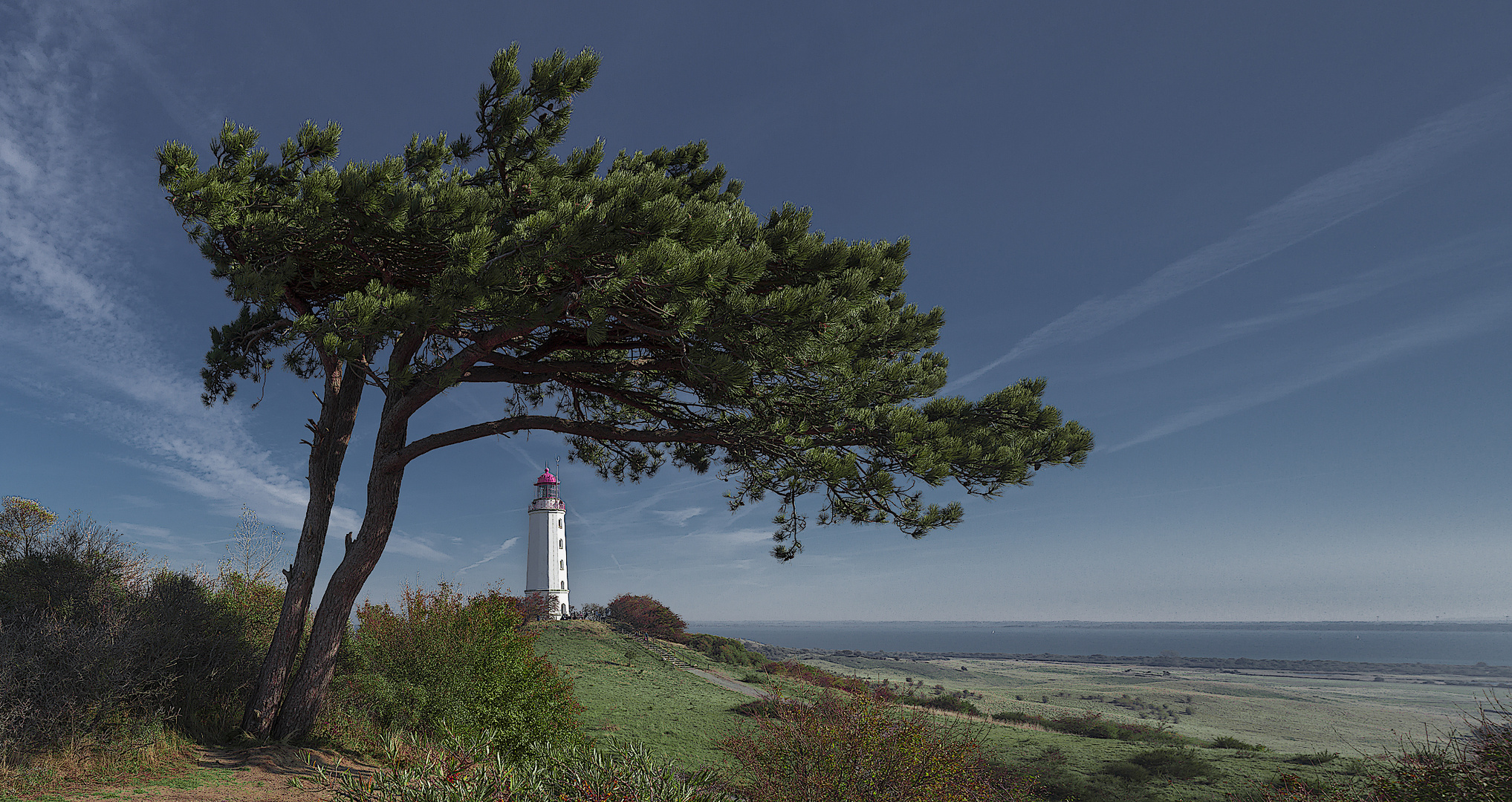 Hiddensee - Dornbusch