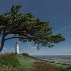 Hiddensee - Dornbusch