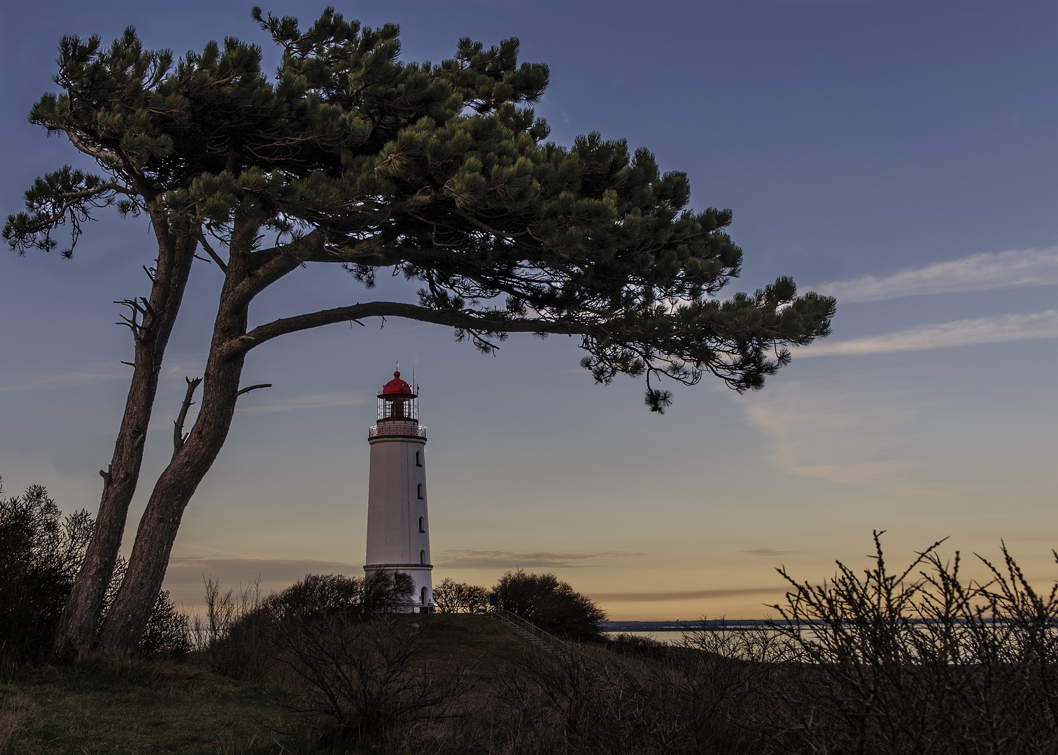 Hiddensee - Dornbusch mit Leuchtturm