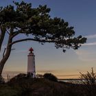 Hiddensee - Dornbusch mit Leuchtturm