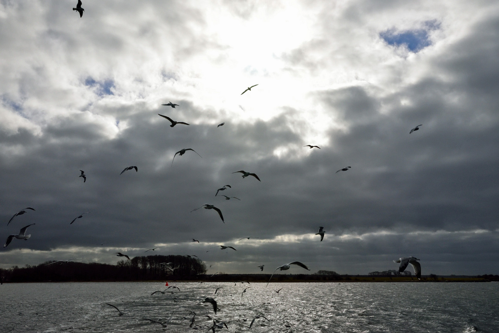 Hiddensee