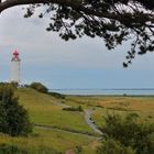 Hiddensee