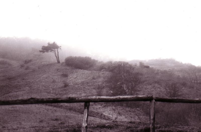 Hiddensee