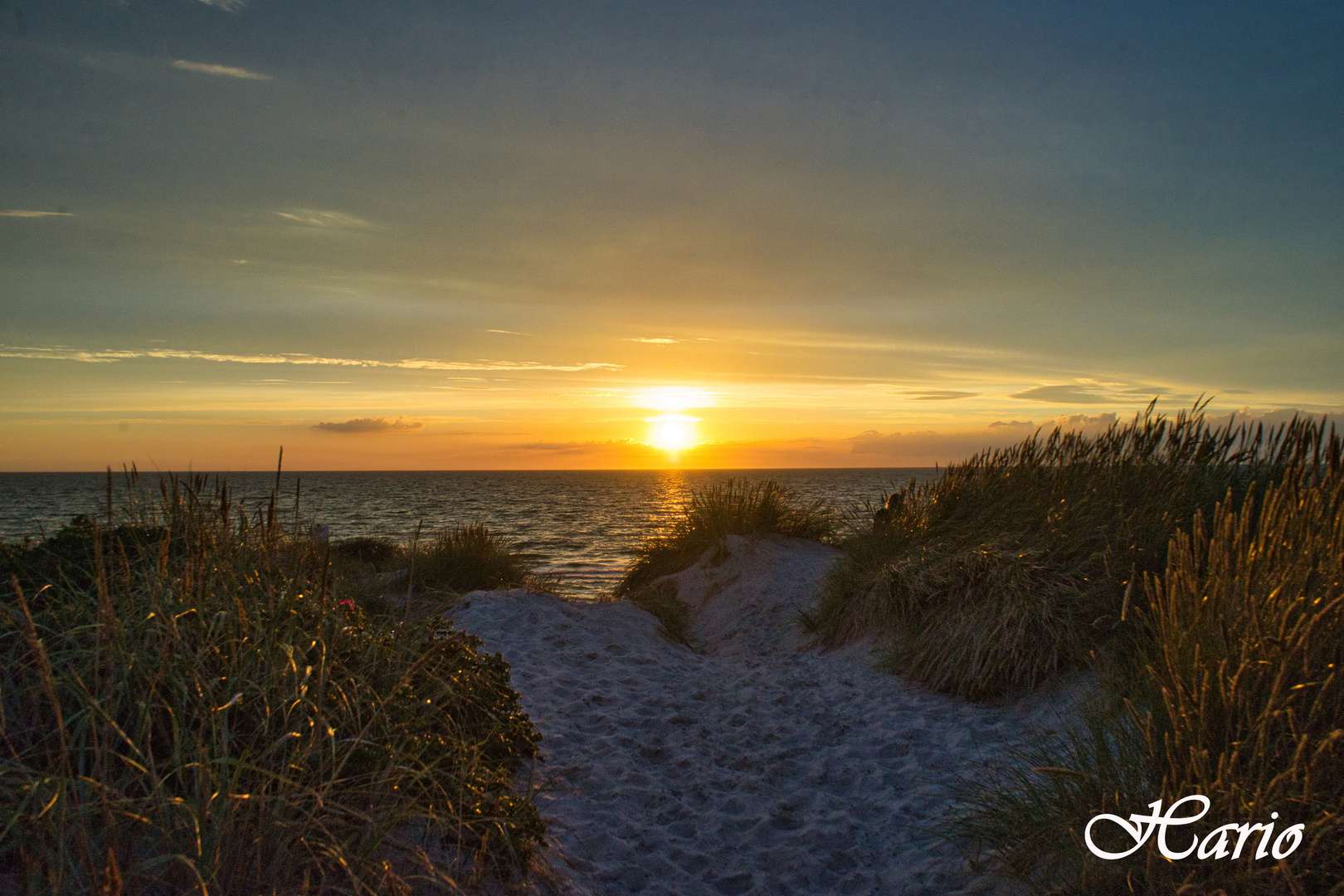 Hiddensee (Hario)