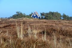 Hiddensee-Heide