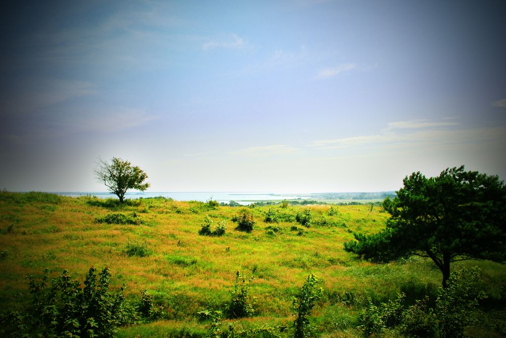 Hiddensee: Hochland