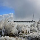 Hiddensee im Eis