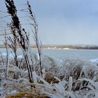 Hiddensee im Eis