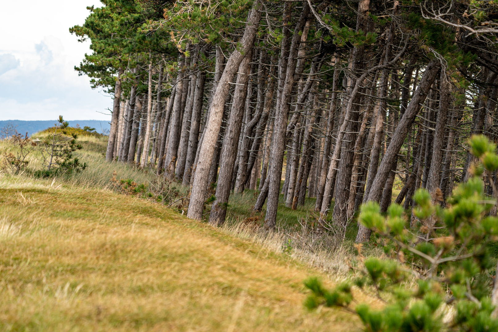 Hiddensee im Herbst