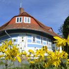 Hiddensee im Herbst 