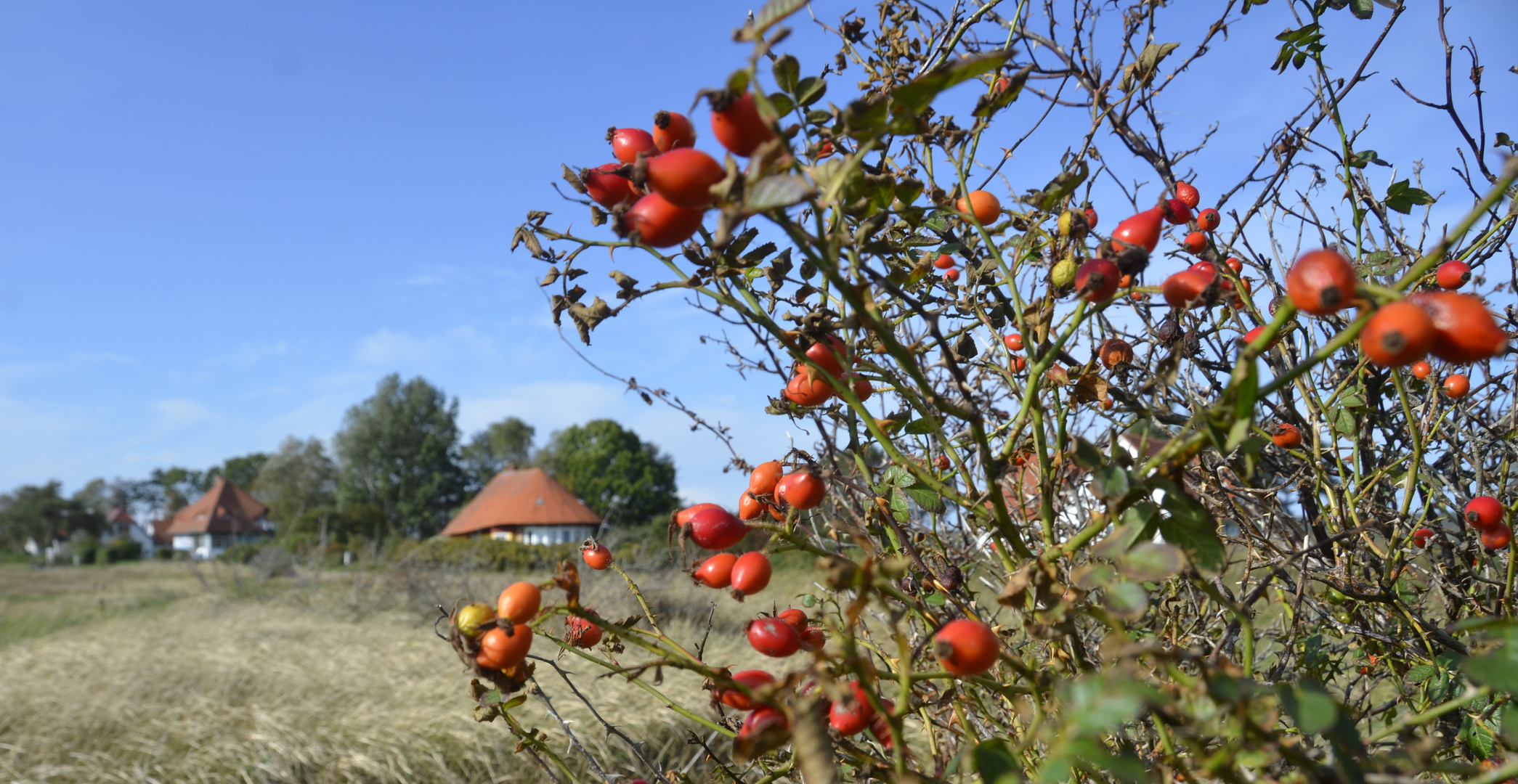 Hiddensee im Herbst 