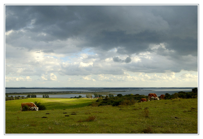 Hiddensee im Herbst - reloaded