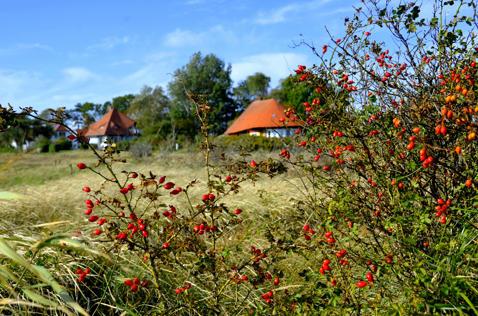 Hiddensee im Herbst Serie 