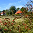 Hiddensee im Herbst Serie 