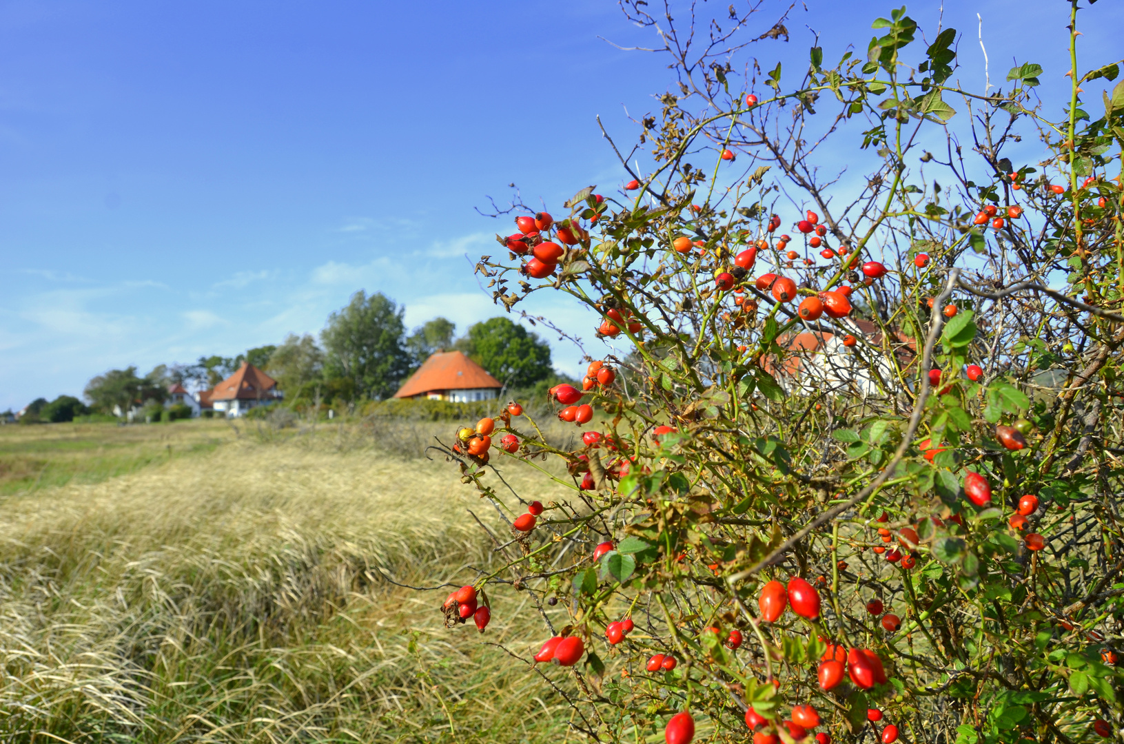 Hiddensee im Herbst Serie 