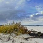 Hiddensee im Herbst Serie 