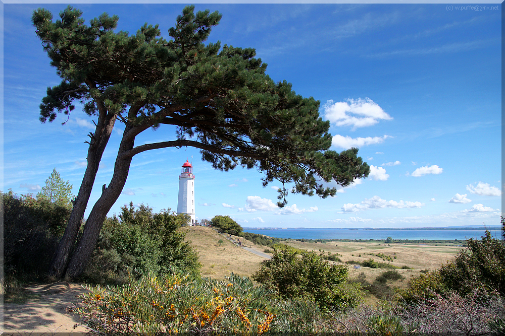 Hiddensee im Hochsommer