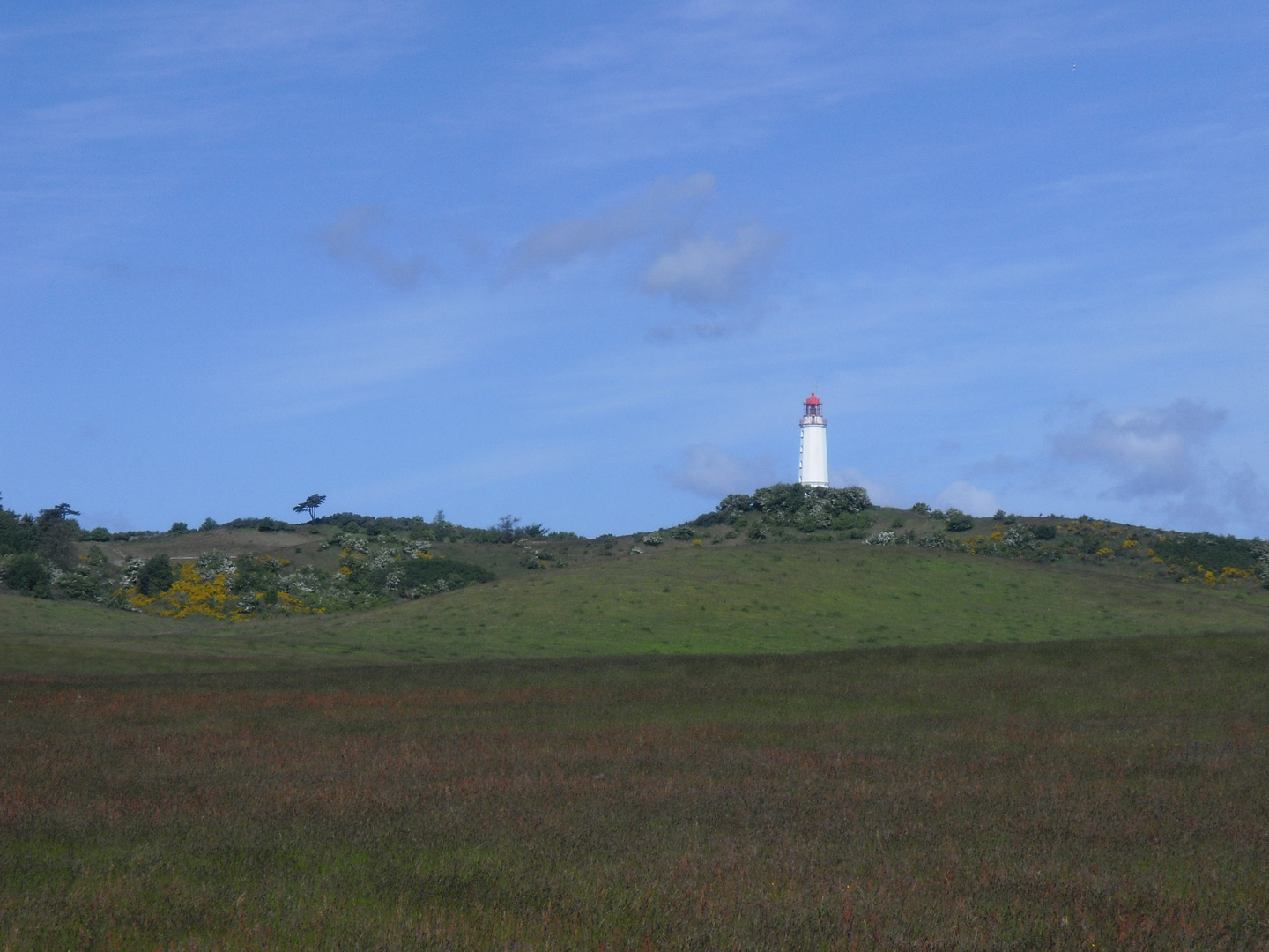 Hiddensee im Juni 2012