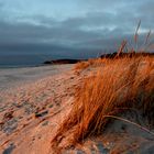 Hiddensee im März