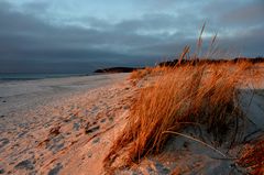 Hiddensee im März