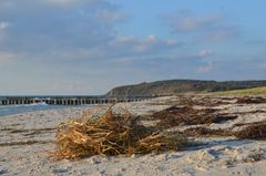 Hiddensee im Oktober