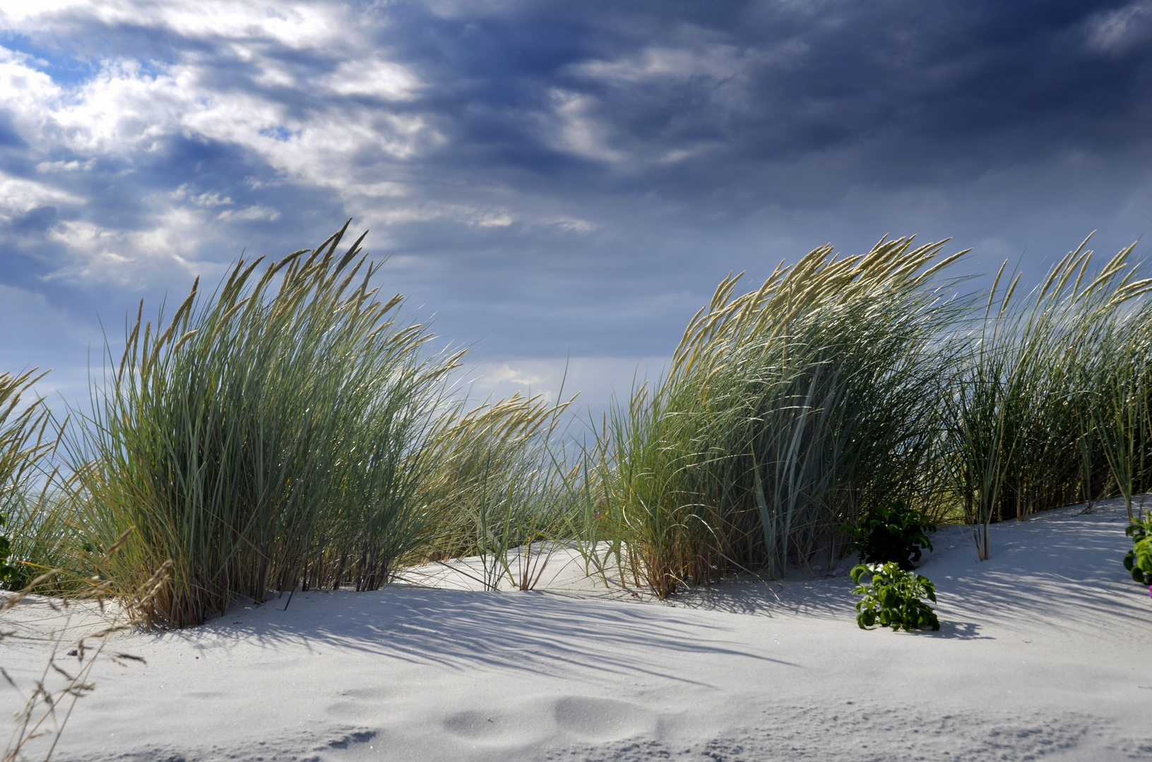 Hiddensee im Sommer 