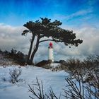 Hiddensee im Winter Leuchtturm Dornbusch