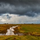 Hiddensee Impression