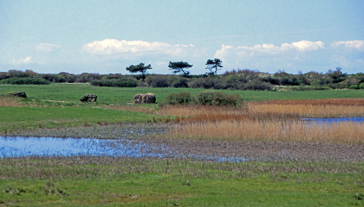 Hiddensee - Insel der Erholung