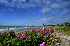 Hiddensee ist gigantisch