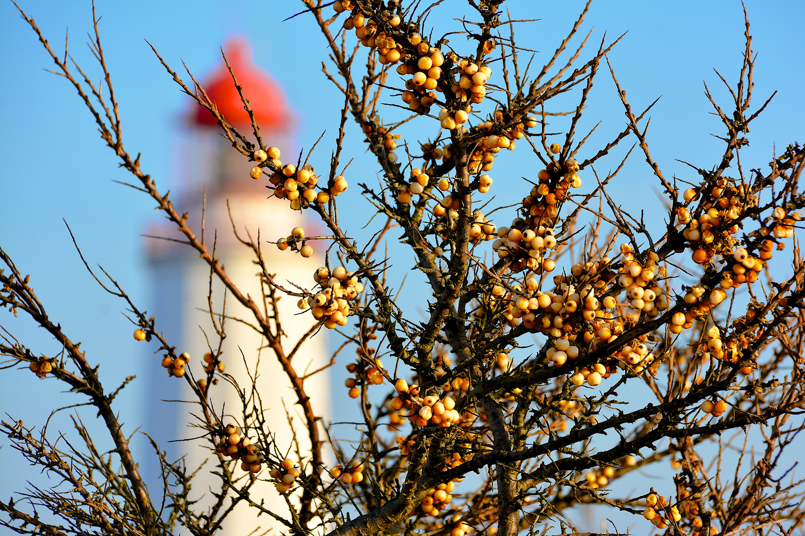 Hiddensee - Leuchtturm Dornbusch